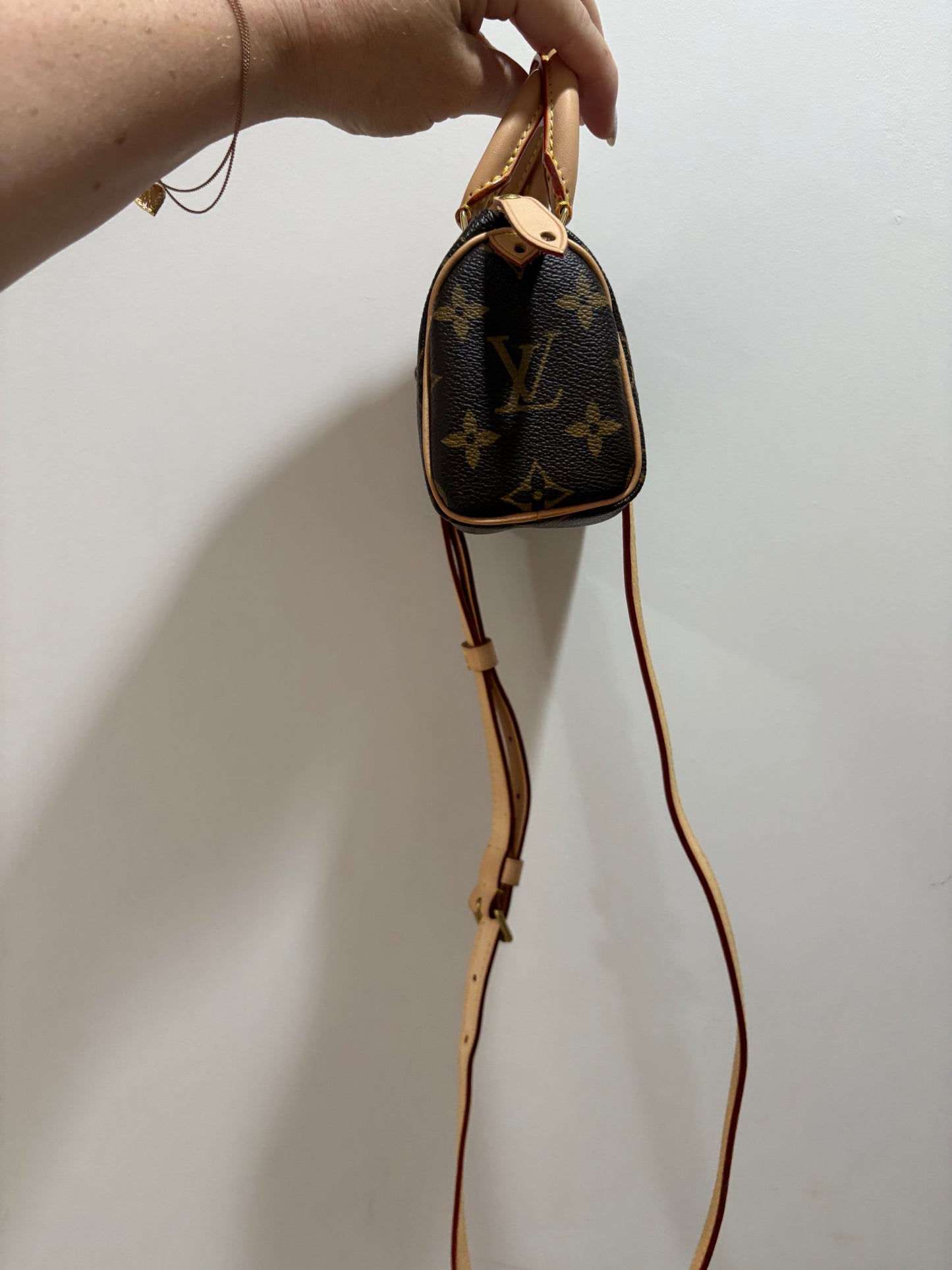 Louis Vuitton Nano Speedy